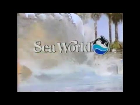 Video: SeaWorld San Diego - Nichts verpassen