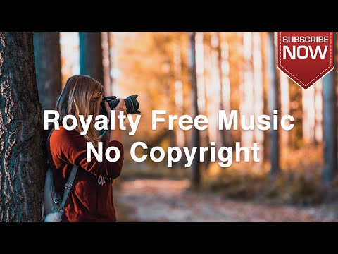SirensCeol - Coming Home | No Copyright music