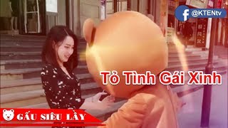 Gấu Lầy 😂 Gấu Lầy Tỏ Tình ❤️ Tiểu Thư Xinh Xắn Cực Đáng Yêu | KTENtv ✔