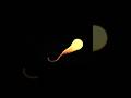 Black Hole Eating a Star Caught on Camera | Tidal Disruption Event Explained #shortvideo