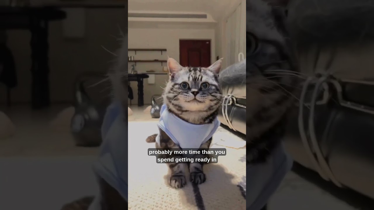 Grooming Habits 🎀