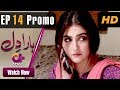 Watch Haara Dil - Episode 14 Promo | Aplus Dramas | Danish Taimoor, Hiba Bukhari Online In HD