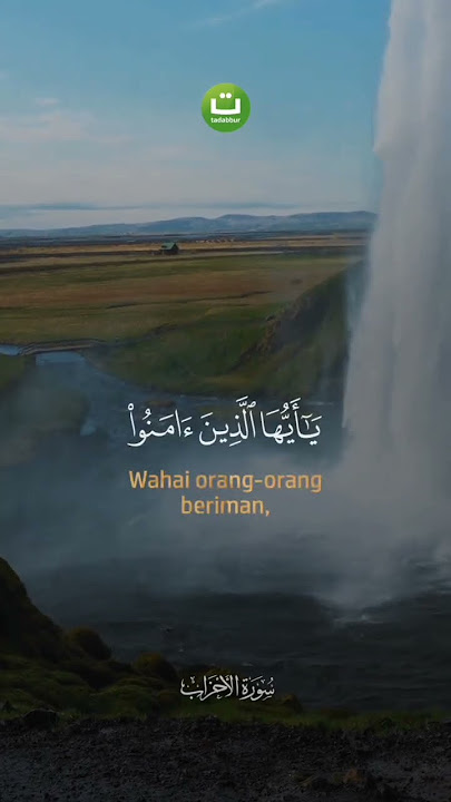 #taddaburdaily #murottal #murottal #quran #ngajionline #fyp