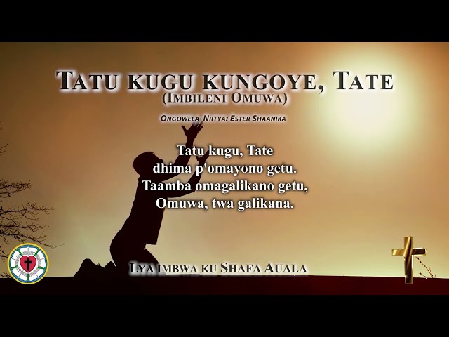 Tatu kugu kungoye Tate (Shafa Auala) class=