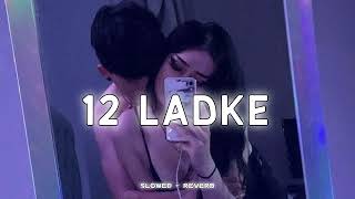 12 ladke (Slowed & Reverb) lofi mix