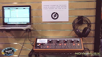 Nova @ NAMM! - Moog Slim Phatty With Ableton!?!