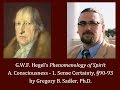 Half Hour Hegel: The Complete Phenomenology of Spirit (Sense Certainty, sec. 90-93)