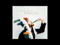 Nico Blunt - fireworks (Remix)