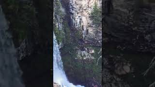 #relaxing #meditationmusic #nature #morningflutemusic #meditacion #reels #reel #reelsindia