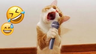 🐱🤣 Funniest Dogs and Cats 😘😹 Funny And Cute Animal Videos 2024 # 14