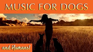 Music for Dogs and Humans  Perfect for Sleep or Relaxation