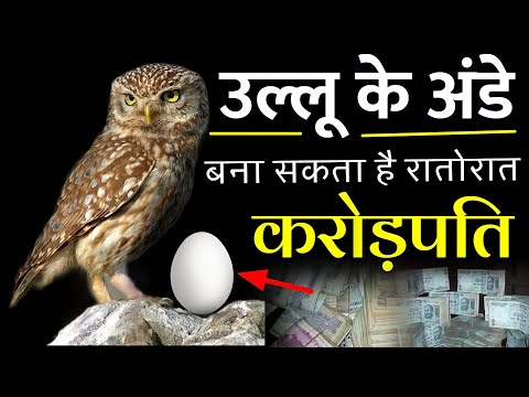 वीडियो: क्या अनदेखे गुफाएं हो सकती हैं?