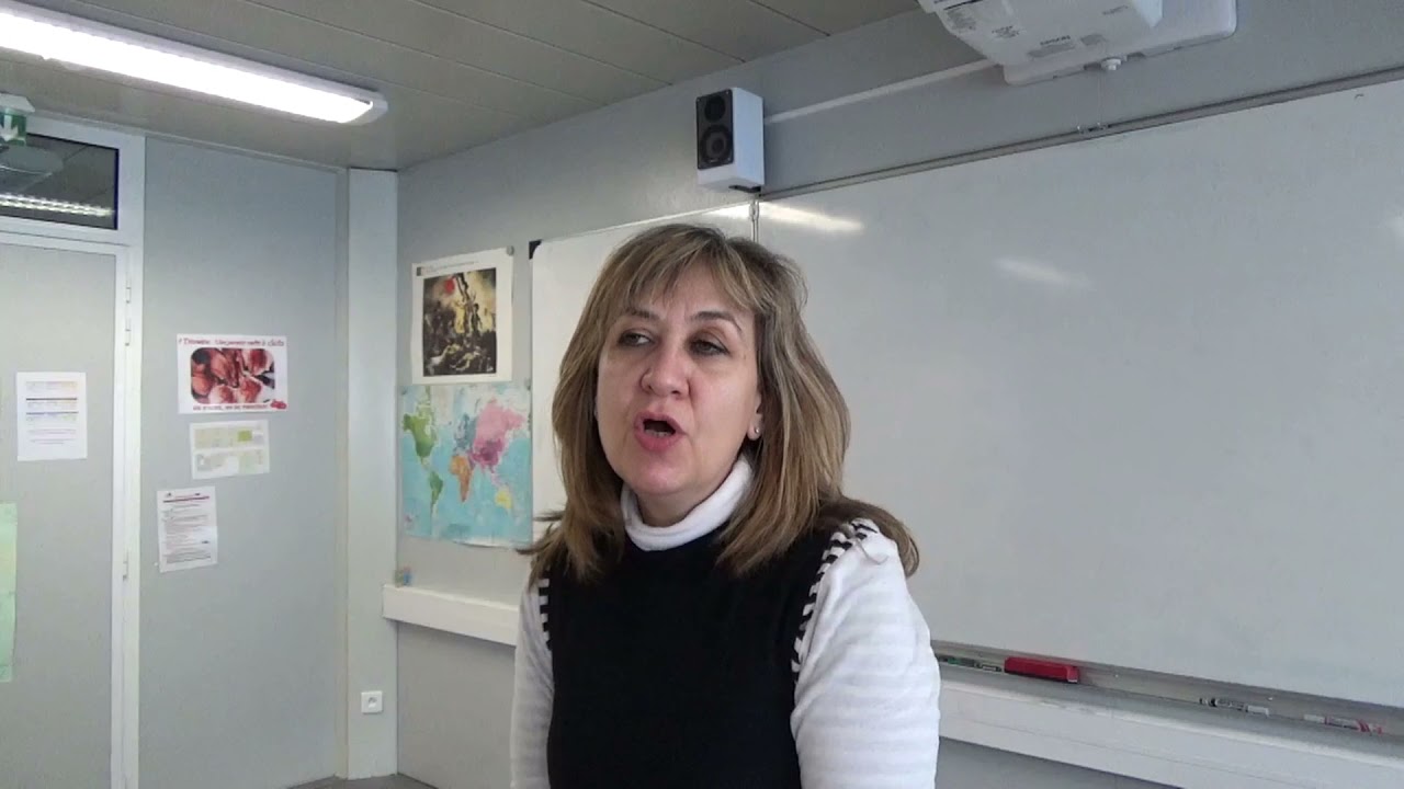 Dispositif UPE2A Lycée professionnel Pierre Mendès France