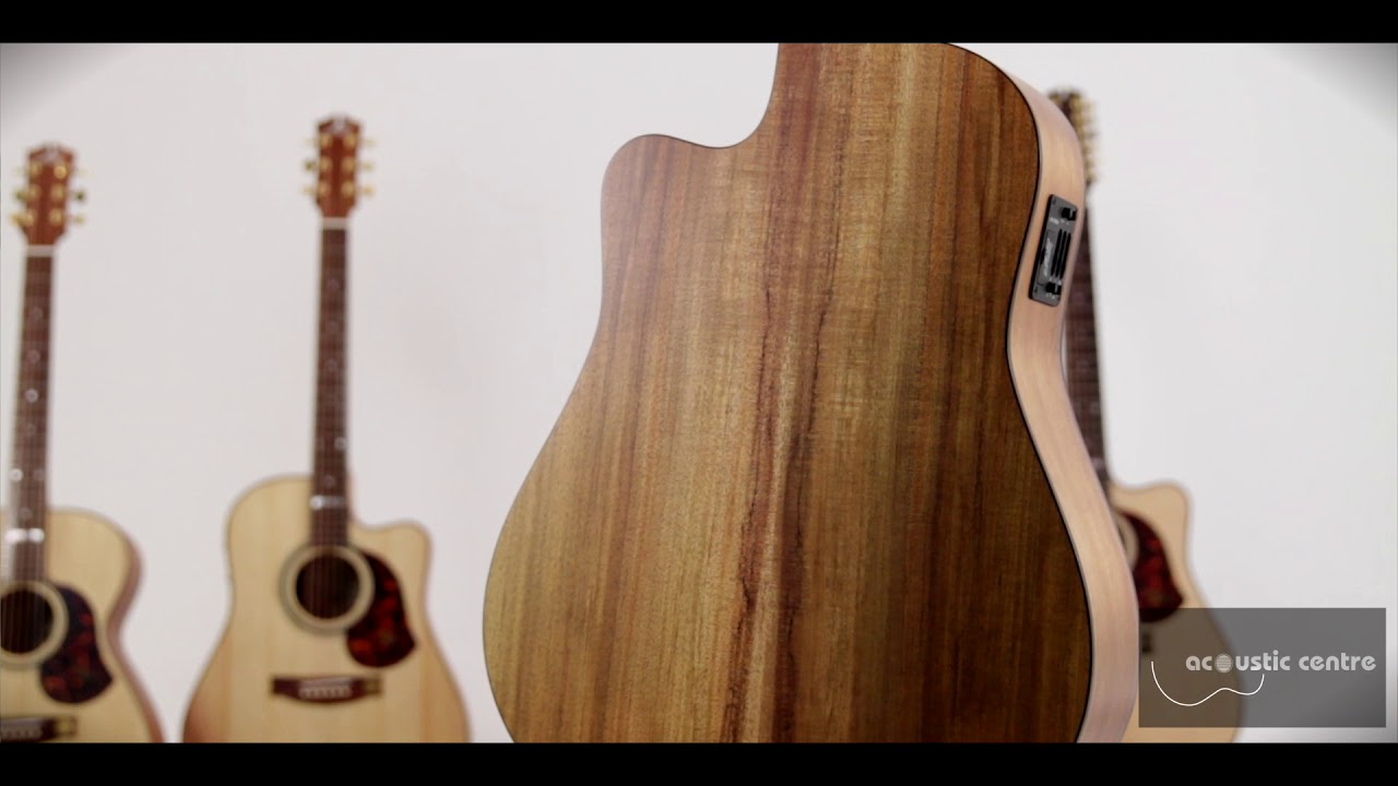 12 string maton acoustic