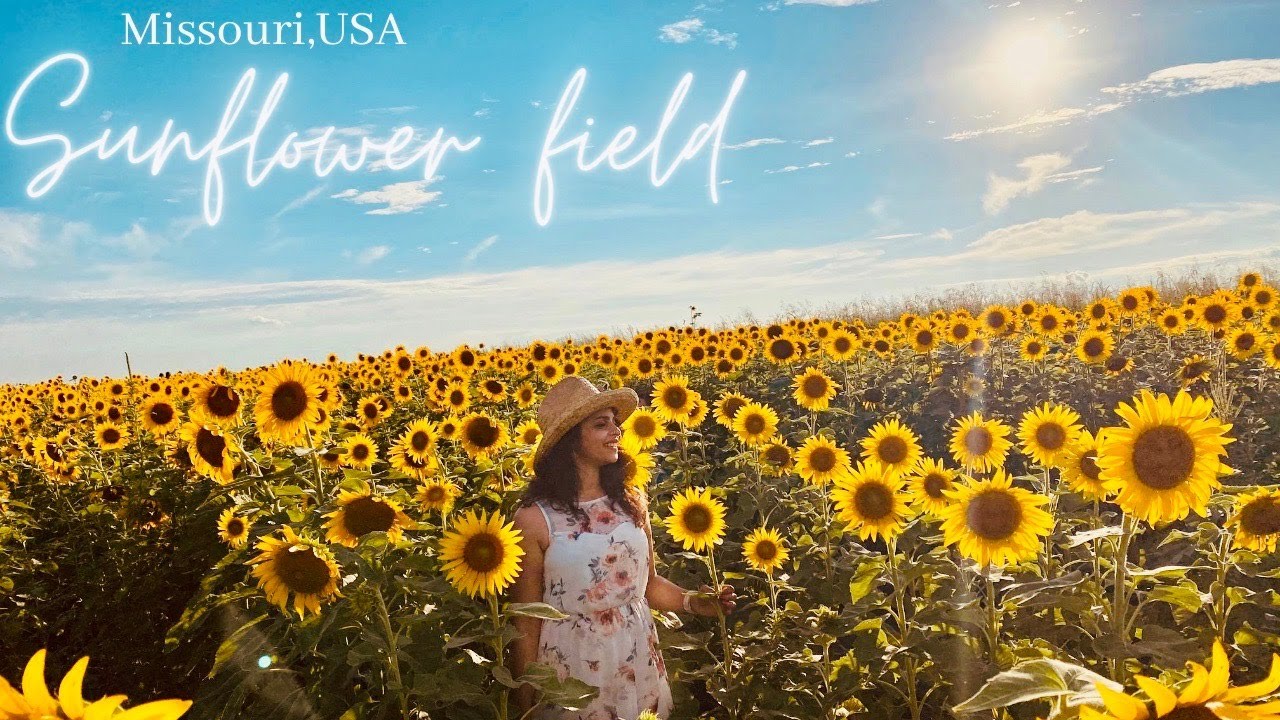 DAY AT THE SUNFLOWER FIELD II USA II MALAYALAM VLOG YouTube