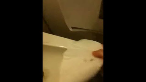 I hate automatic paper towel dispensers!