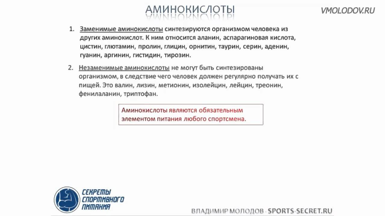 Что такое аминокислоты и зачем они нужны?