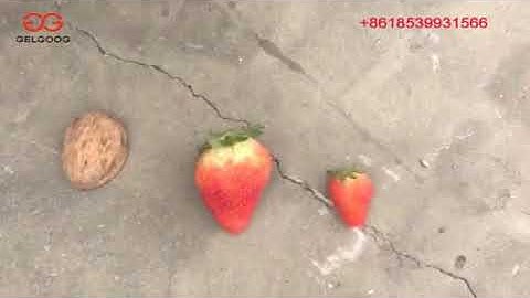 Automatic Strawberry Grading Machine Customer-made