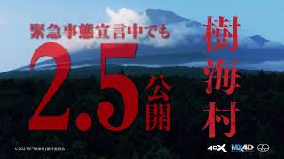 『樹海村』樹海の映像編③