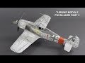 Fw190 Focke Wulf 190 A8/R2 Tamiya. Painting and weathering (Part2)