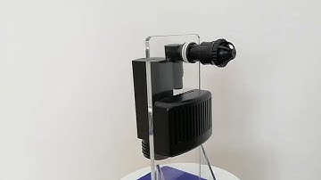 13 best Aquarium Overflow Box 2021 that you must see! complete buyer