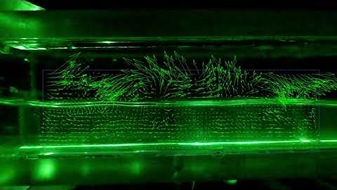 PIV in Multiphase Flow