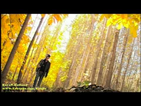 ShaxawaN Ahmadi جێگات خالی