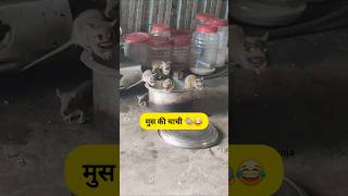 मुस की चाची #funny #thetharpuns #shilpisaroja #comedy