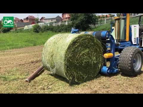 Video: Lagështia E Shiut Për Bimët. Shkretëtirë