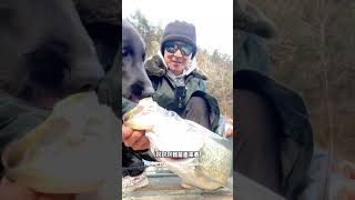 VLOG: Lure fishing for Culter alburnus in the hometown pond.#fishing #lure #Culteralburnus