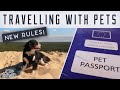 BREXIT // New Rules to Take Pets into Europe // VANLIFE Tips, Tricks & Hacks // Van Life With Dogs