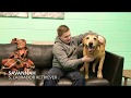 Mutts With Mason- featuring Savannah, Clyde, Jax, Volcom and Jewel Mutts With Mason- featuring Savannah, Clyde, Jax, Volcom and Jewel