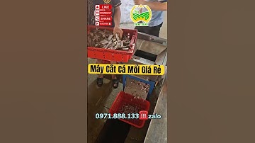 Máy Thái Cá mồi,Cắt Lát Cá Mồi 2025 #maythaica #maycatca #maycatcamoi