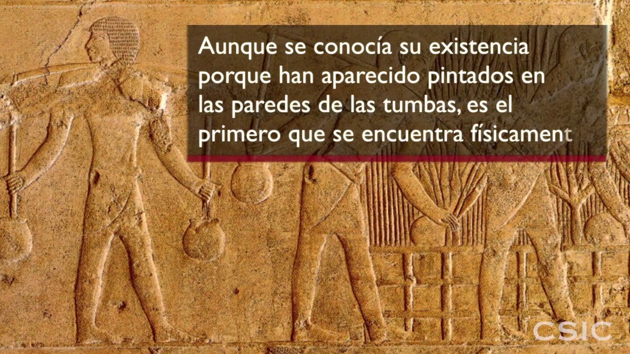 El Proyecto Djehuty descubre un jardín funerario en Egipto