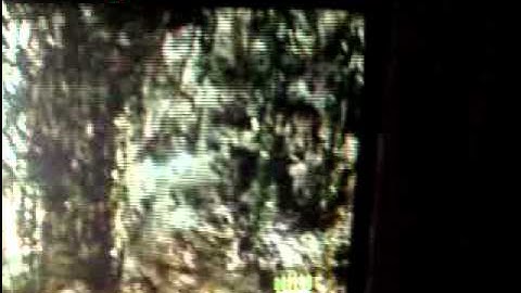 GB Dispute vs. Squeaker Dn PT.2