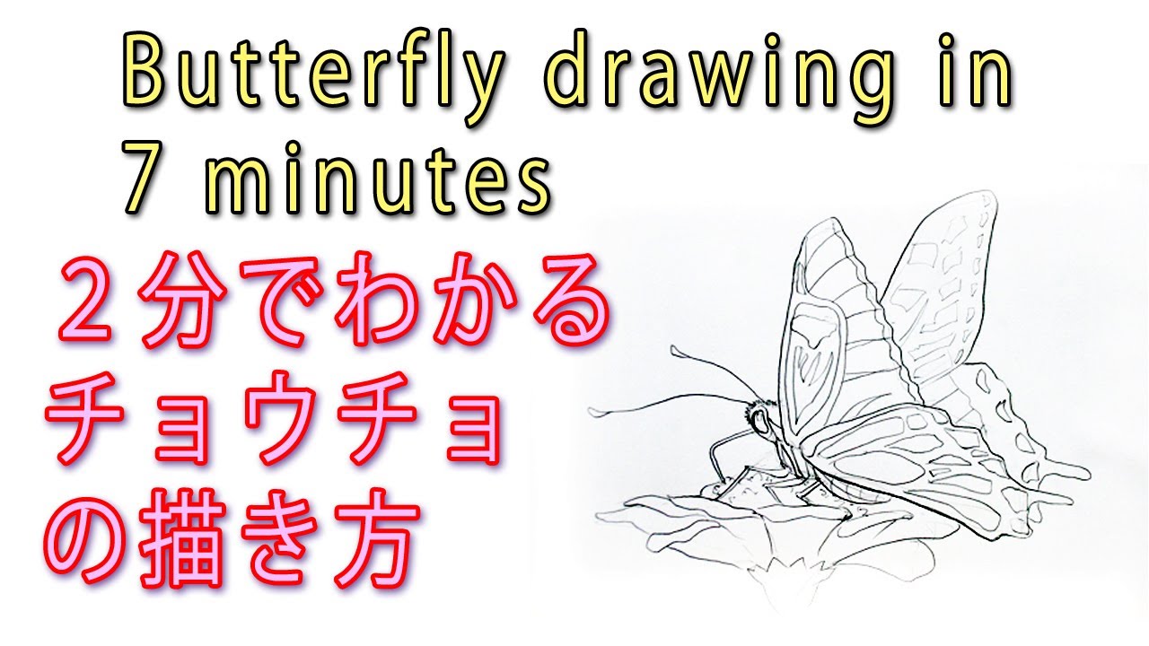 イラストを描こう チョウチョの描き方が2分でわかる Max Draws A Butterfly In 7 Minutes By Atelier K Youtube