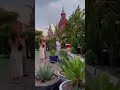 На Манежной площади появились настоящие тропики с пальмами