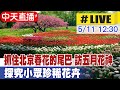 【中天直播#LIVE】抓住北京春花的尾巴 訪五月花神、探究小眾珍稀花卉 20240511  @Global_Vision
