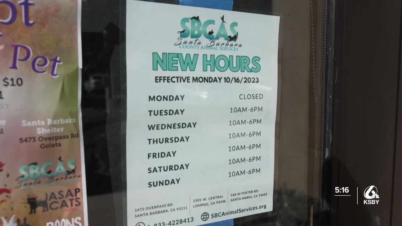 Buellton adding microchip scanning stations for lost pets