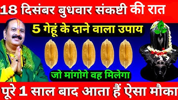 18 दिसंबर बुधवार संकष्टी चतुर्थी व्रत के दिन 5 गेहूं के दाने वाला उपाय जरूर करें ||Pradeep Ji Mishra