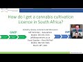 Overview: How do I get a cannabis cultivation Licence in South Africa?