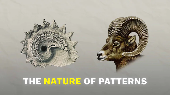 Why Nature Repeats Itself: The Hidden Patterns in Our World