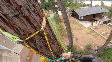 Practice Negative Rigging - Part 4