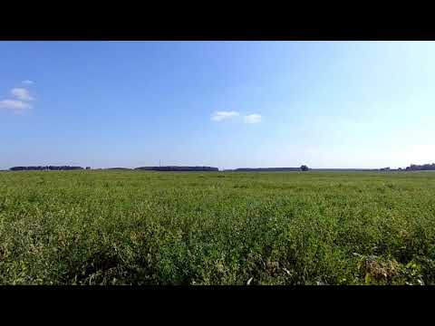 Футажи поле| Поле