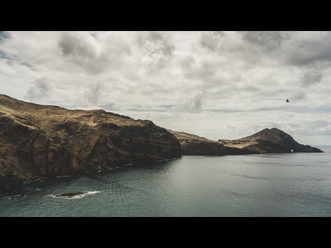 Kazukii Nothing Ft Meseta