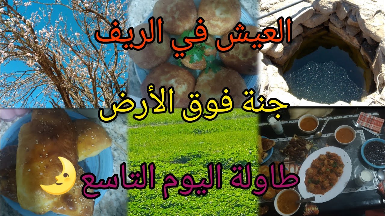 جنة فوق الأرض🌹🌹بداية الربيع🌲🪴🌿طاولة اليوم التاسع من رمضان🌛