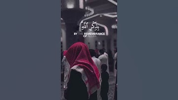 أَلَا بِذِكْرِ اللَّهِ تَطْمَئِنُّ الْقُلُوبُ❤️ وديع اليمني❤️ #وديع_اليمني ❤️ #روائع_التلاوات ❤️