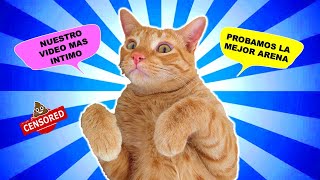 Una Semana muy intima con mis GATOS!CatVlog | Probamos lo que nos llegó en unas cajas!