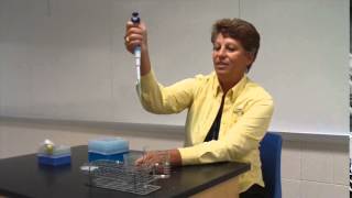 Lab 1 -  Serial Dilutions
