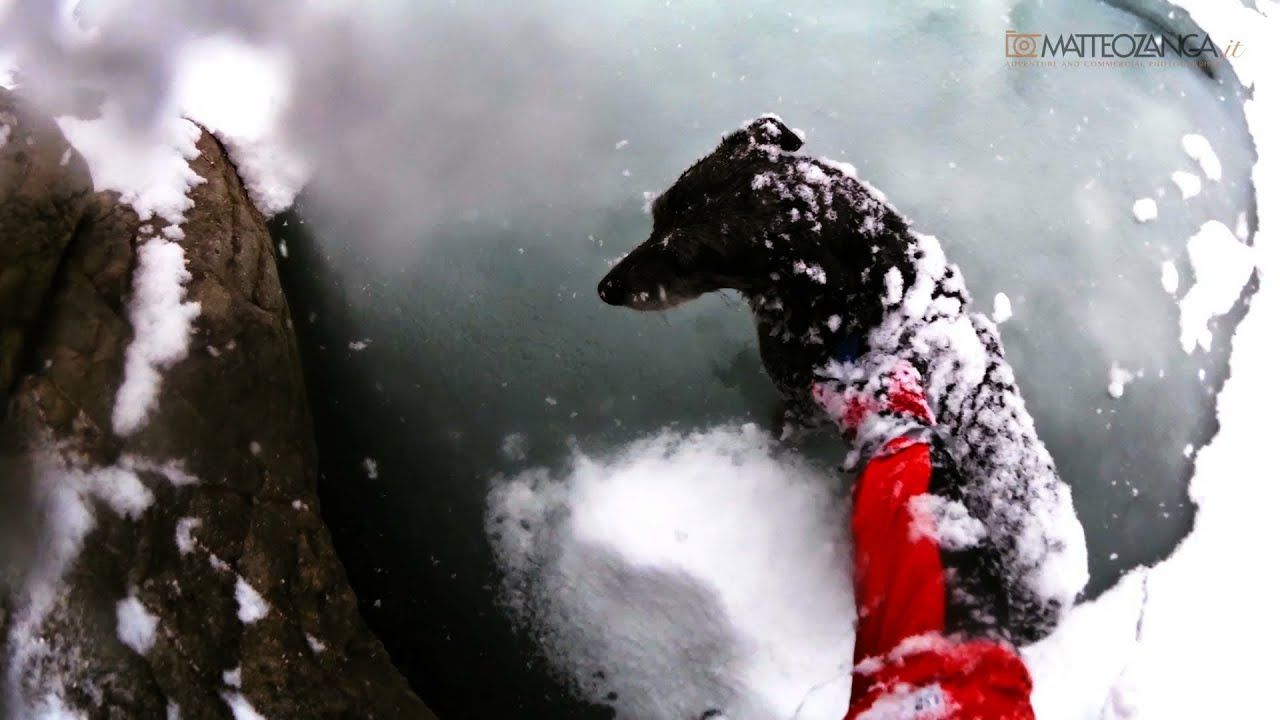Cane salvato in extremis dal Soccorso Alpino